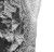 everest_s1_2.JPG